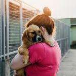 +15% de reconversion en 5 ans : pourquoi le métier animalier séduit ?