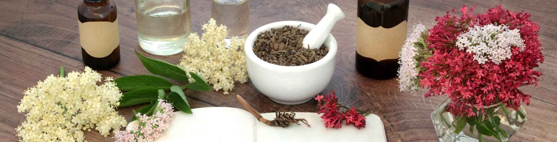 Comment choisir sa formation naturopathe&nbsp;? &Eacute;tudes et reconversion