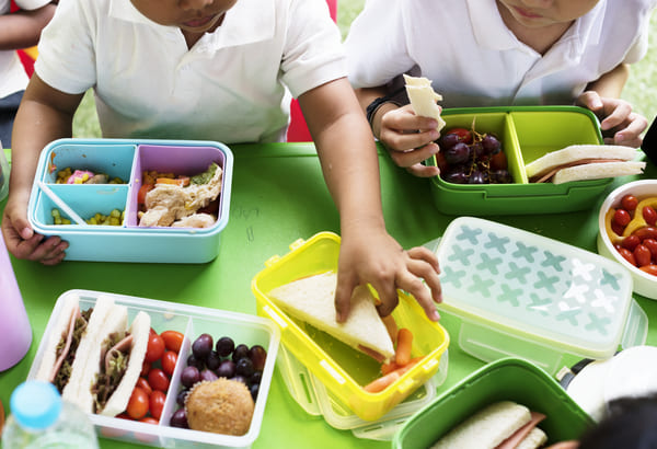 le mtier de ditticien en cantine scolaire