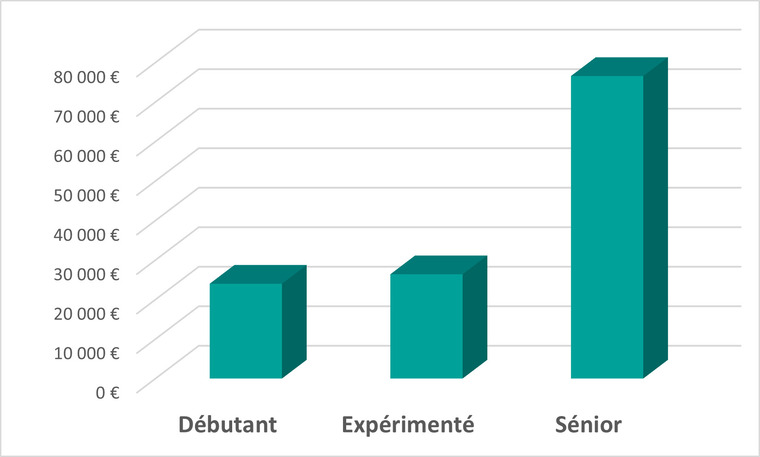 Illustration graphique des salaires d'un monteur vido