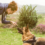 educateur canin