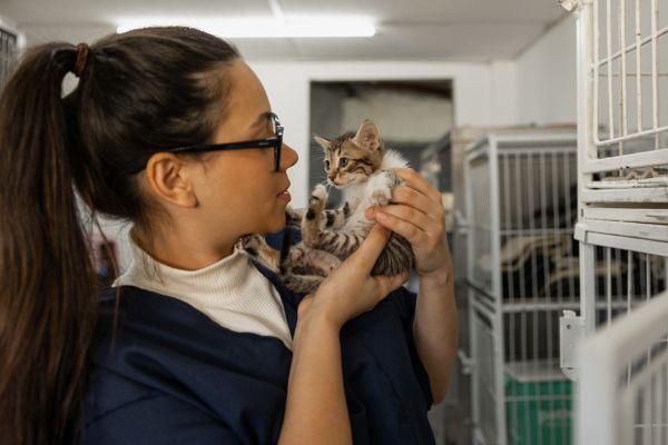 Le rôle d'un agent animalier