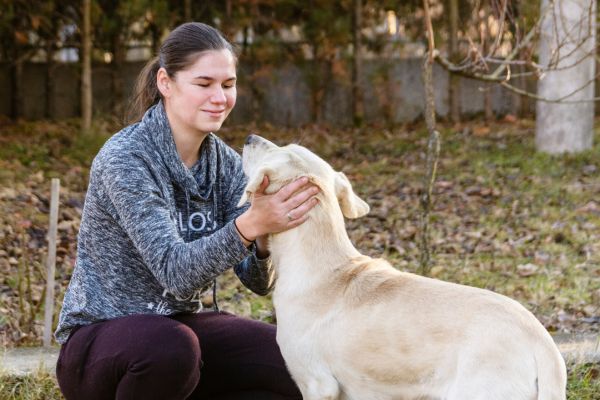comportementaliste animalier