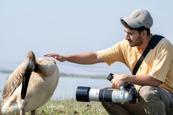 photographe animalier
