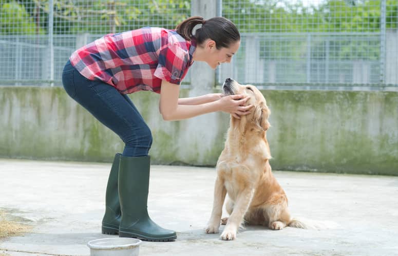 devenir educateur canin