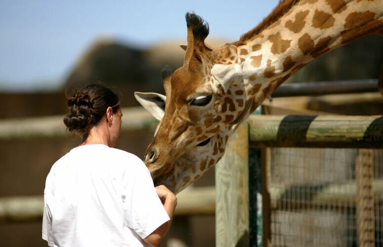 devenir soigneur animalier dans un zoo