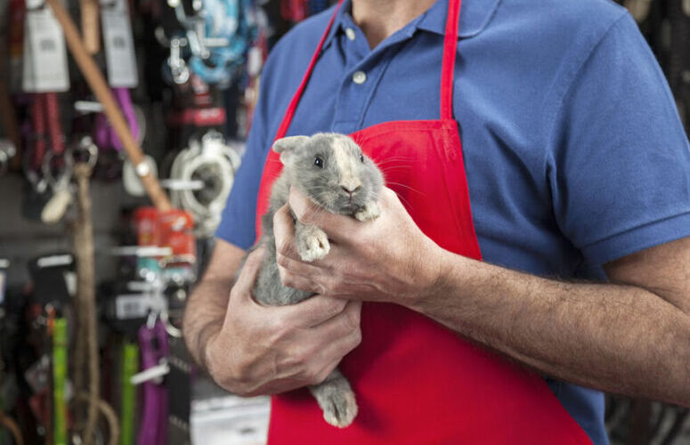 devenir soigneur animalier dans une animalerie